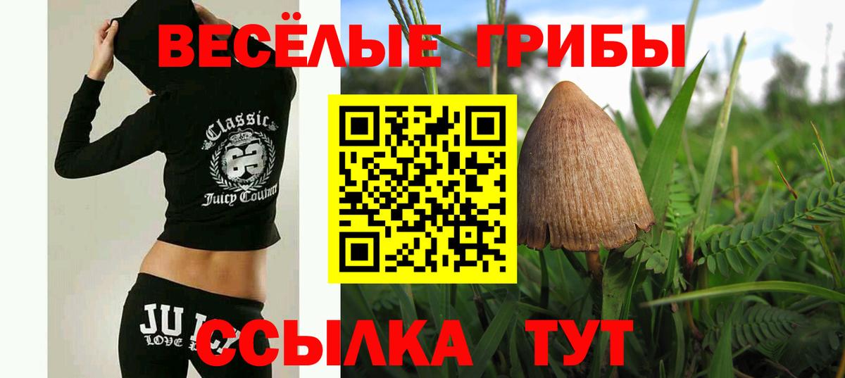 Псилоцибиновые грибы MAGIC MUSHROOMS Архангельск