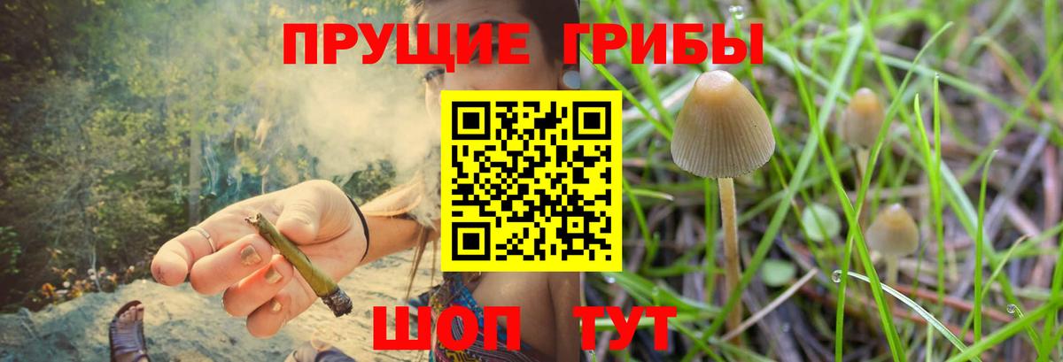 Галлюциногенные грибы Psilocybe  Галлюциногенные грибы Cubensis  Вход с VPN  Архангельск 